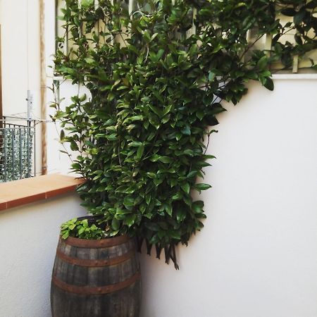 شقة Il Terrazzino Sul Kemonia باليرمو المظهر الخارجي الصورة