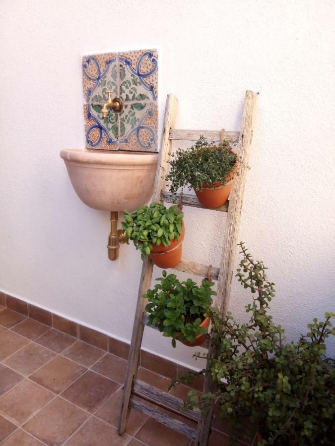 شقة Il Terrazzino Sul Kemonia باليرمو المظهر الخارجي الصورة